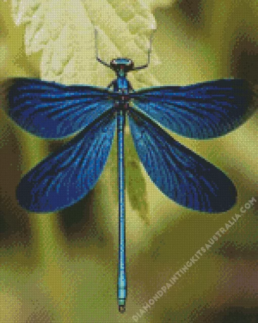 Blue Dragonfly Diamond Painting