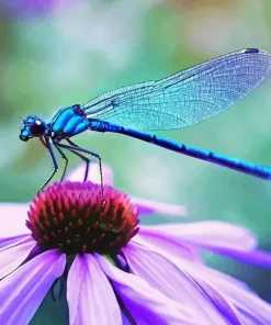 Blue Dragonfly On Flower Diamond Painting