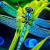 Blue Dragonfly On Leaf Diamond Painting