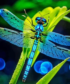 Blue Dragonfly On Leaf Diamond Painting