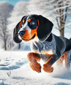 Blue English Coonhound In Snow Diamond Painting