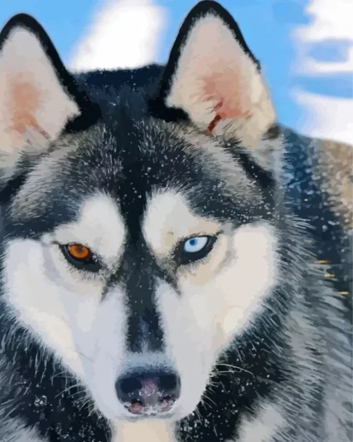 Blue Eye Husky Diamond Painting