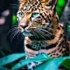 Blue Eyed Leopard Diamond Painting