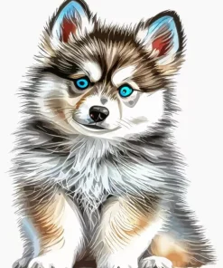 Blue Eyed Pomsky Diamond Painting