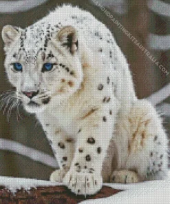 Blue Eyed Snow Leopard Diamond Painting