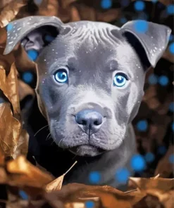 Blue Eyed Staffordshire Bull Terrier Diamond Painting