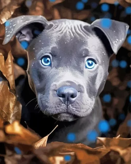 Blue Eyed Staffordshire Bull Terrier Diamond Painting