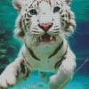 Blue Eyed Tiger Underwater Diamond Painting