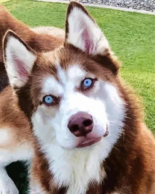 Blue Eyes Husky Diamond Painting