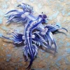 Blue Glaucus Nudibranch Diamond Painting