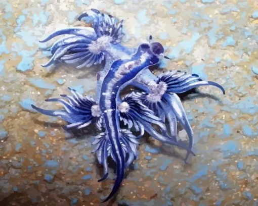 Blue Glaucus Nudibranch Diamond Painting