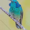 Blue Green Hummingbird Diamond Painting