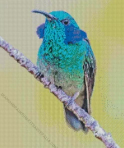 Blue Green Hummingbird Diamond Painting