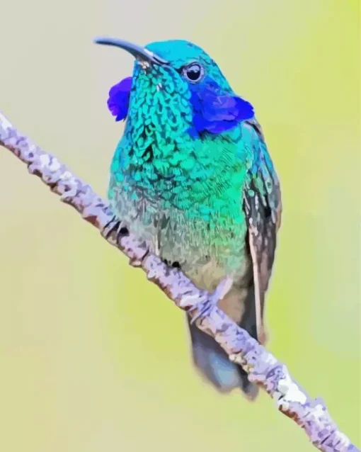 Blue Green Hummingbird Diamond Painting