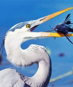 Blue Heron Eating Diamond Painting