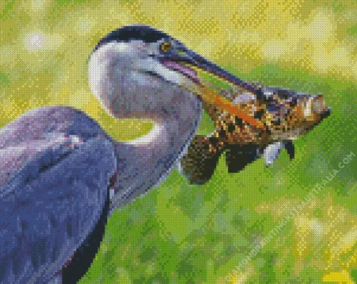 Blue Heron Eating Fish Diamond Painting