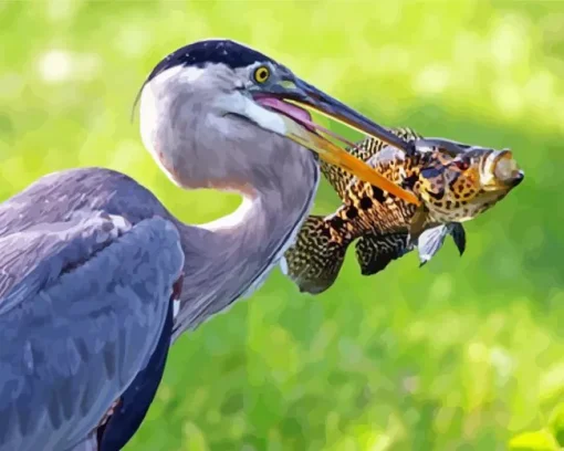 Blue Heron Eating Fish Diamond Painting