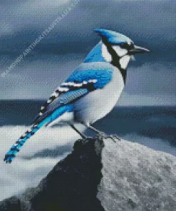 Blue Jay Diamond Painting