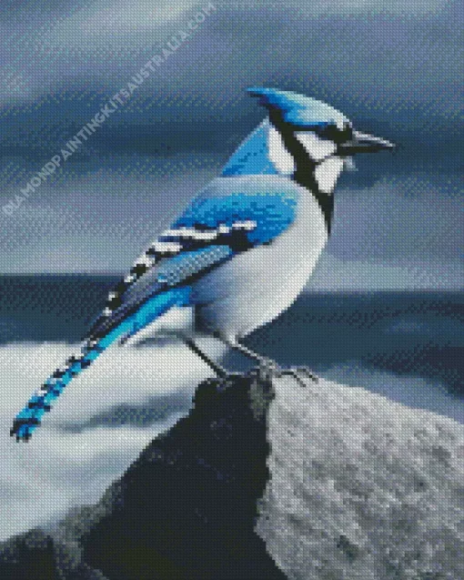 Blue Jay Diamond Painting