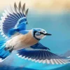 Blue Jay Bird Flying Diamond Painting