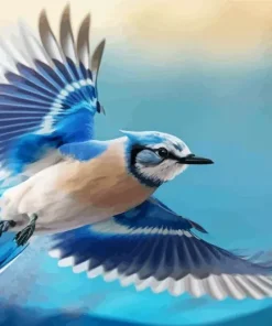 Blue Jay Bird Flying Diamond Painting