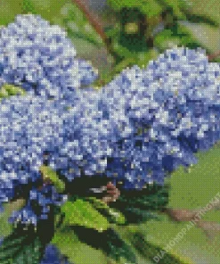 Blueblossom Plant Diamond Painting