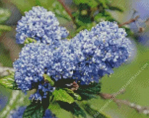 Blueblossom Plant Diamond Painting