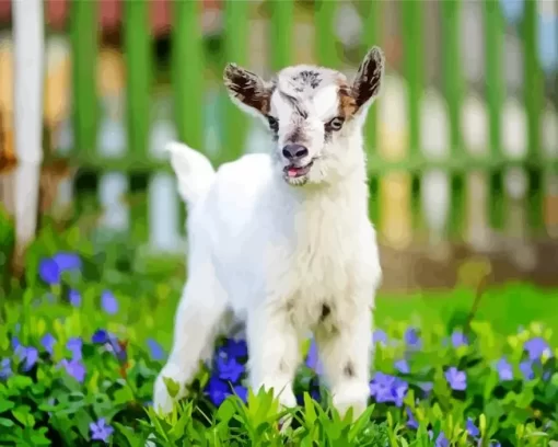 Cute Goat Diamond Painting