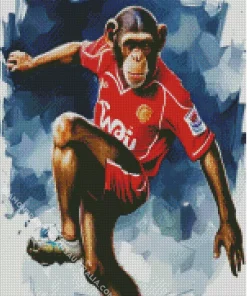 Football Monkey Diamond Painting