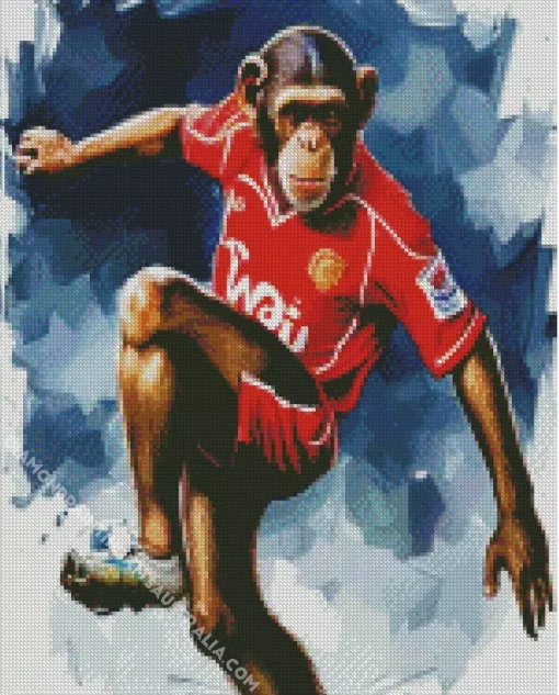 Football Monkey Diamond Painting