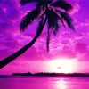 Purple Sunset Diamond Painting