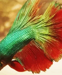 Betta Smaragdina Diamond Painting