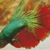 Betta Smaragdina Diamond Painting