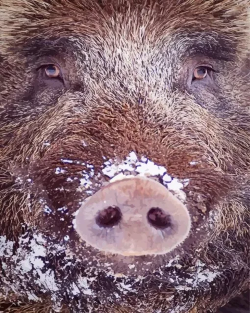 Boar Face Diamond Painting