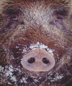 Boar Face Diamond Painting