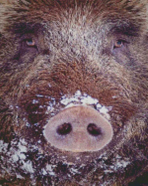 Boar Face Diamond Painting