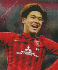 Daiki Hashioka Diamond Painting