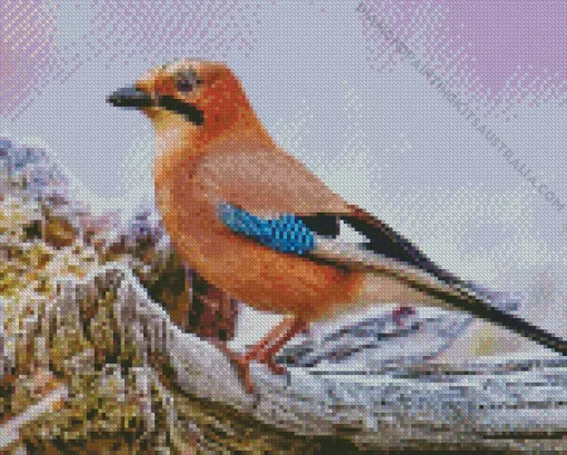 Eurasian Jay Bird Diamond Painting