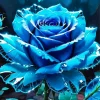 Glass Blue Rose Diamond Painting