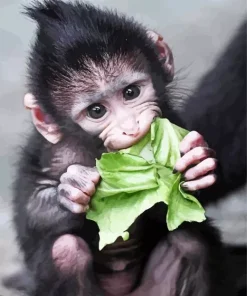 Baby Monkey Diamond Painting