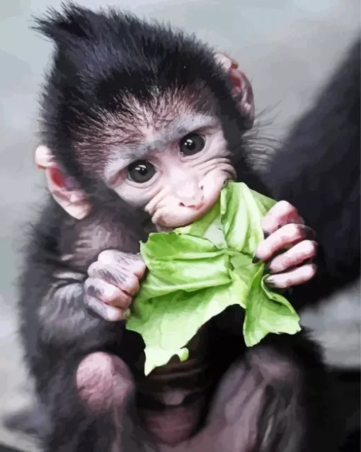 Baby Monkey Diamond Painting