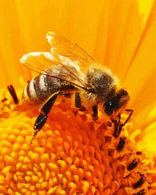 Bee On Sunflower Diamond Painting