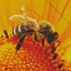 Bee On Sunflower Diamond Painting