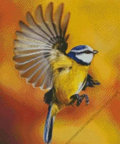 Bird Blue Tit Diamond Painting