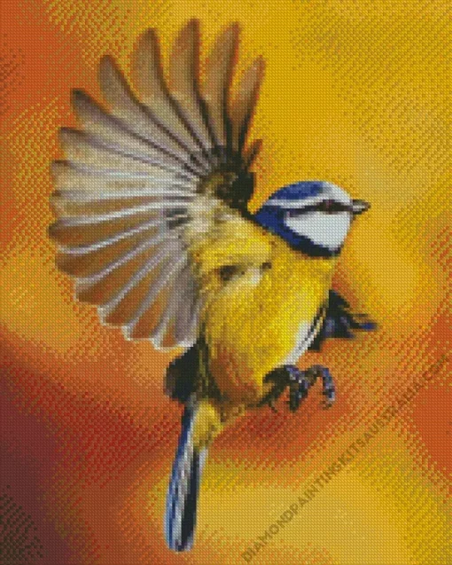 Bird Blue Tit Diamond Painting