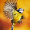 Bird Blue Tit Diamond Painting