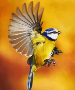 Bird Blue Tit Diamond Painting