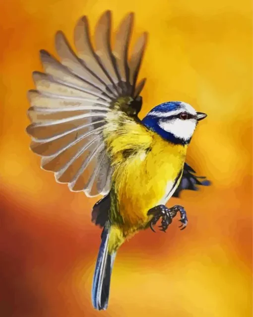 Bird Blue Tit Diamond Painting