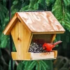 Bird Feeder Diamond Painting