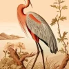 Bird Illustration Diamond Painting